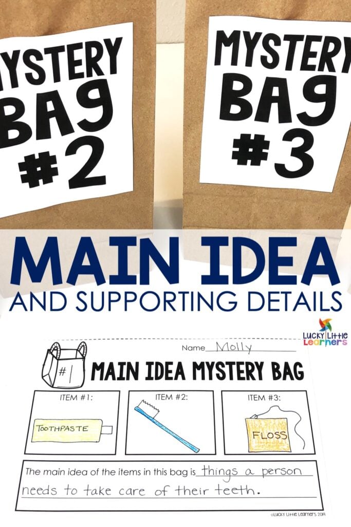 Main Idea and Details Activities - Mystery Bag Activity