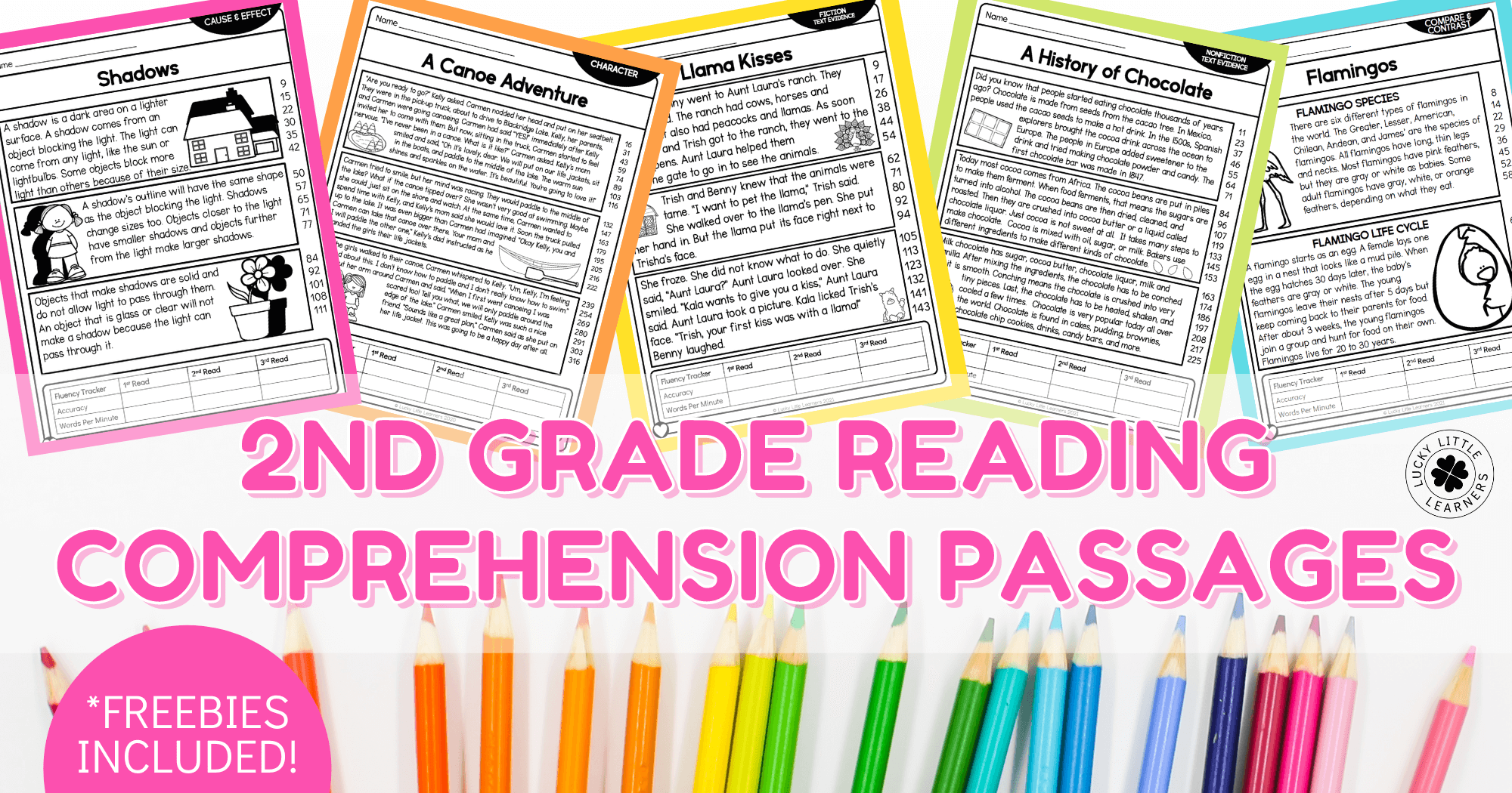 2nd grade reading comprehension passages lucky little learners