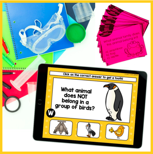 free animal classification activity