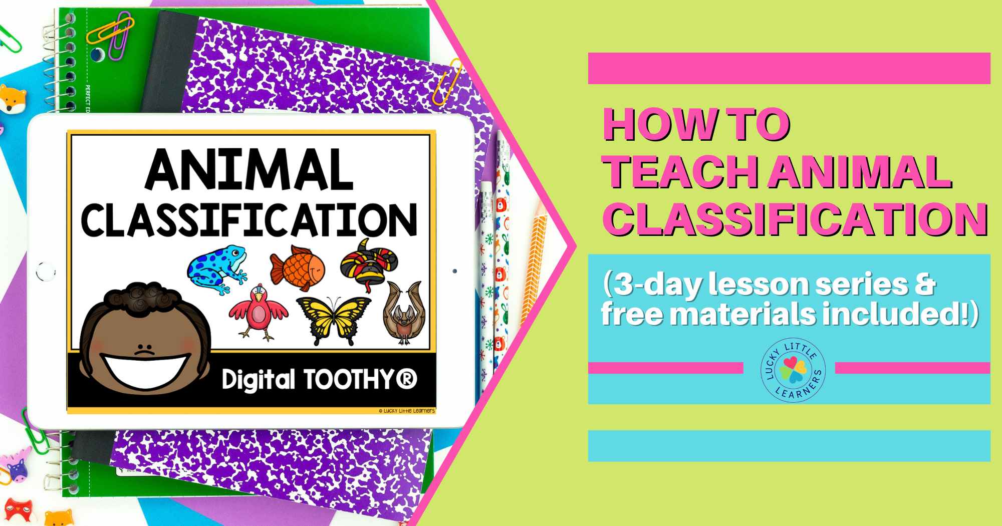 animal classification 3 day lesson plan free materials included lucky little learners