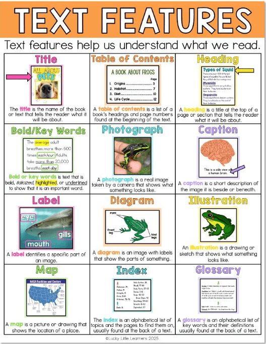 Nonfiction text features anchor chart showing examples of headings, captions, diagrams, glossary, index, and table of contents for elementary students.