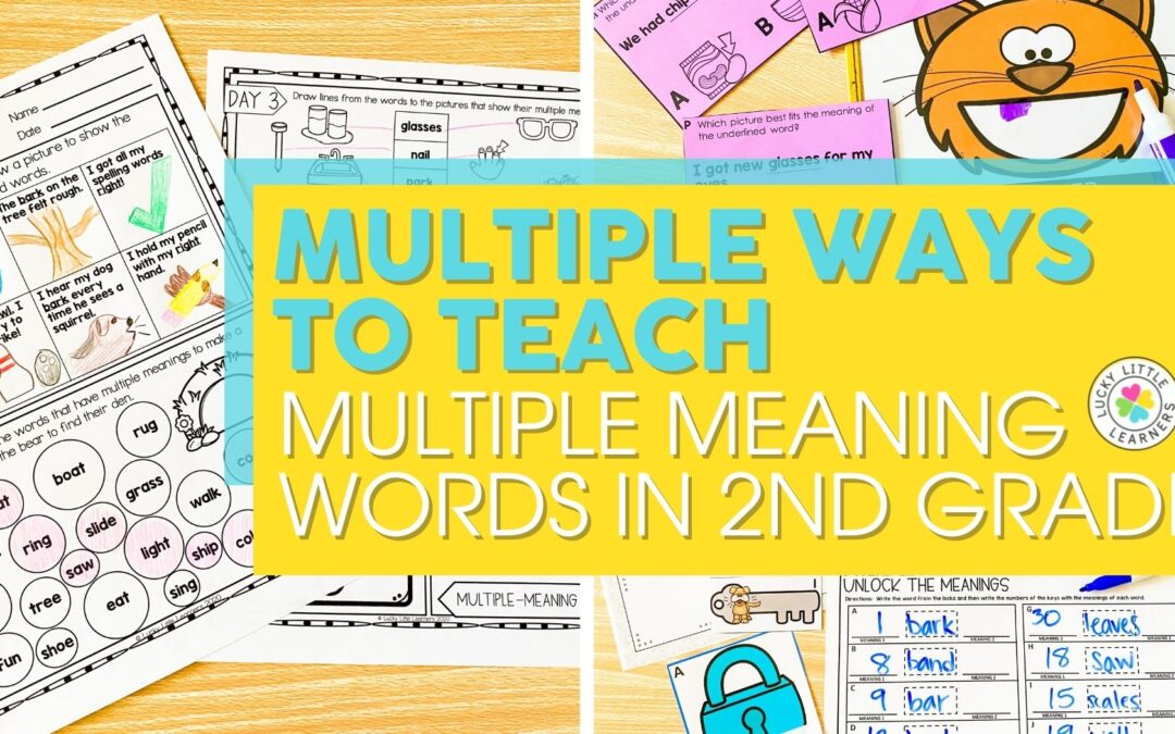 Multiple Ways to Teach Multiple Meaning Words in 2nd Grade