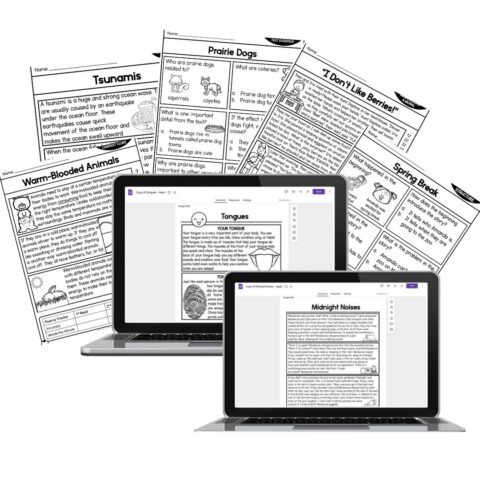 Reading Centers for 2nd Grade - Lucky Little Learners