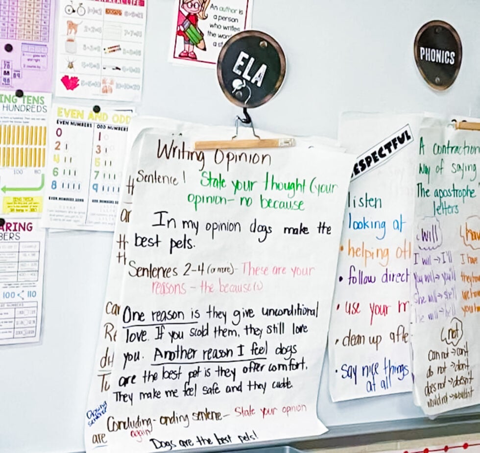Amazing Ideas for Organizing Anchor Charts Lucky Little Learners