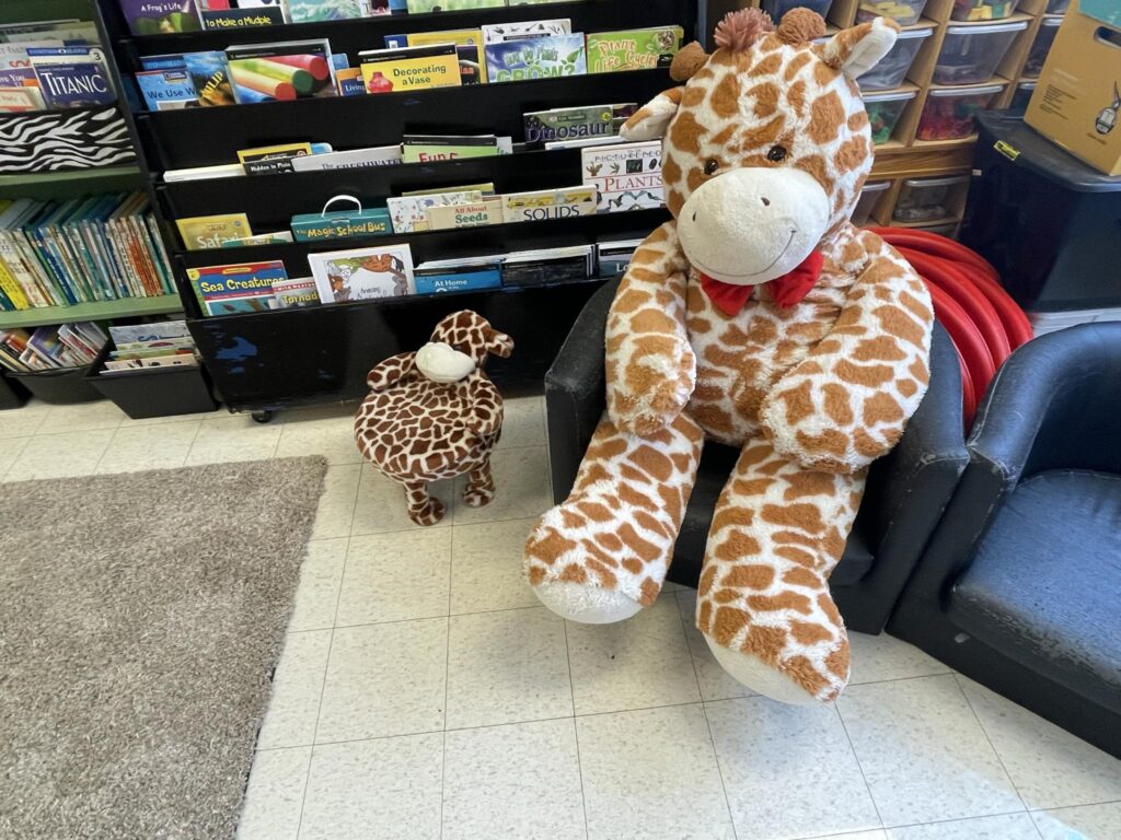 Safari-themed classroom library with plush giraffes