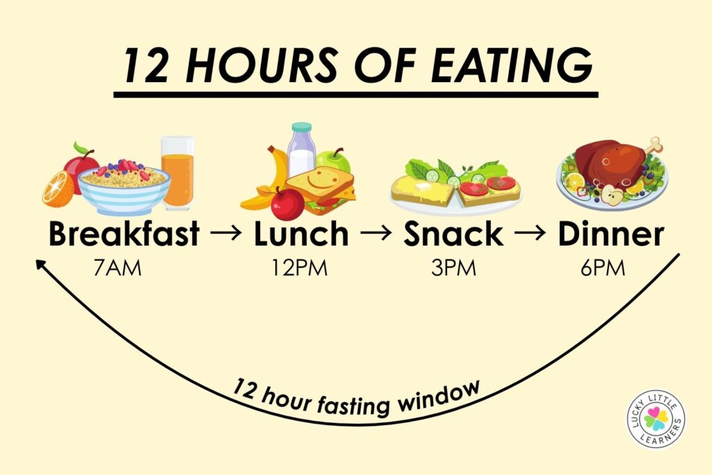 12-hour eating schedule graphic for teachers showing breakfast, lunch, snack, and dinner times to support balanced nutrition.